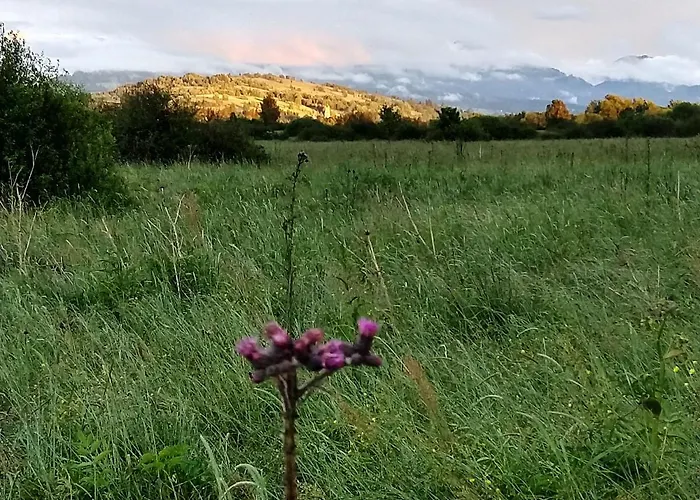 דירה Zagroda צ'ארני דונאייץ
